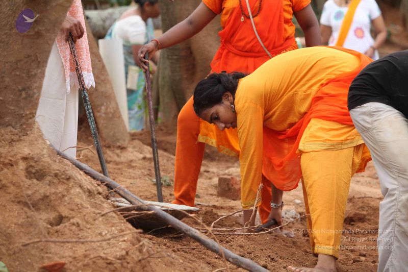 File:20160911 Photo 1856 1xWOuhAl7I2~HAI-LC1sO8fXRvwa8TGm.JPG