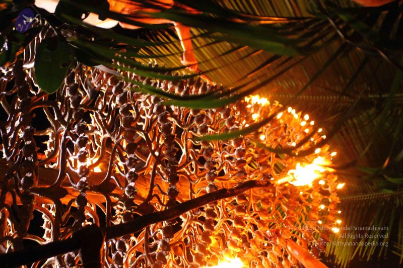 File:20160911 Photo 1964 1HzMEEGUOU6B7TxYVnVTDfqv90yWRxcwg.JPG