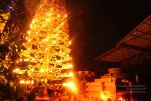 20160911 Photo 1996 1lgmC4rBfcEp7WSbTFlnMXk8hIU1q-qJq.JPG