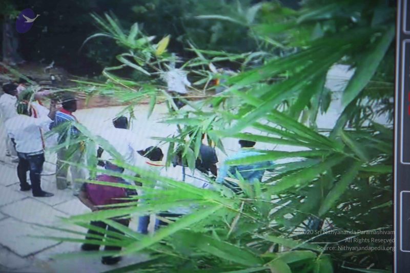 File:20160913 Photo 1095 1LF4vo0MZU0 jXSNVHPFQljHTl6LZZPM3.JPG