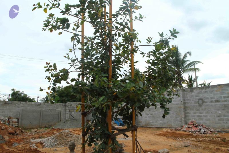 File:20160915 Photo 1083 1MhDU0UVSrKbjwsyYsPnjARdHGJKm1D9V.JPG