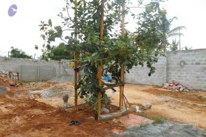 20160915 Photo 1085 1d -gpblQ-XvZHY kiHAnkrNAq8std8hg.JPG