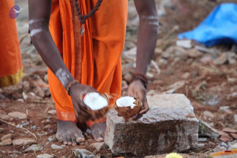 File:20160915 Photo 1203 1XqpANNDr4E9962EPapTkvfwO9qjISNPK.JPG