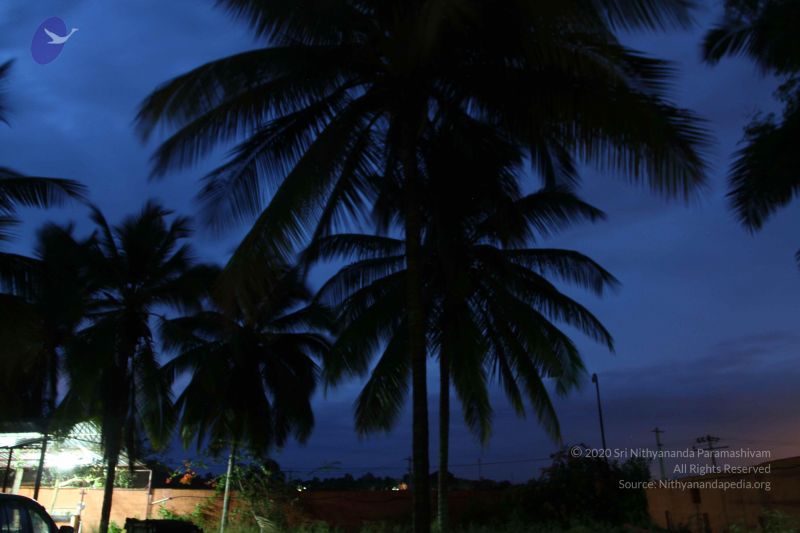 File:20160915 Photo 1219 1KIze9l6CdF1PZhCVPLEGvkFBvj7rpz3v.JPG