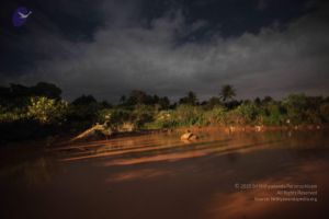 20160915 Photo 1522 1A8zzGKlwcshZAofWhpNgmYw79Hy0TVSP.JPG