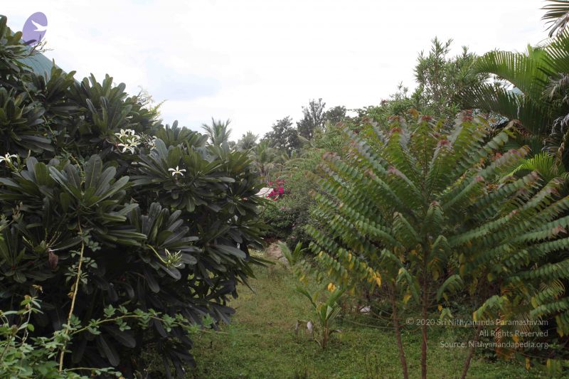 File:20160916 Photo 1179 1SfLv6Ve2-geahIYcHclmQUZNTRko0-hV.JPG