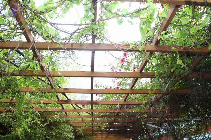 20160918 3830 CMP WM.jpg