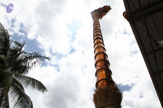 20160918 3842 CMP WM.jpg