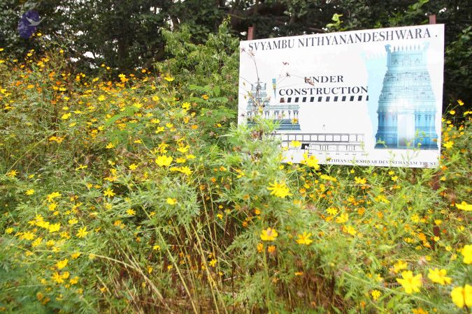 20160918 3851 CMP WM.jpg