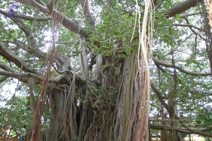 20160918 3854 CMP WM.jpg