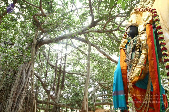 20160918 3860 CMP WM.jpg