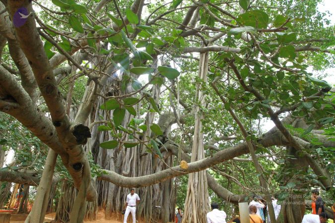 20160918 3873 CMP WM.jpg