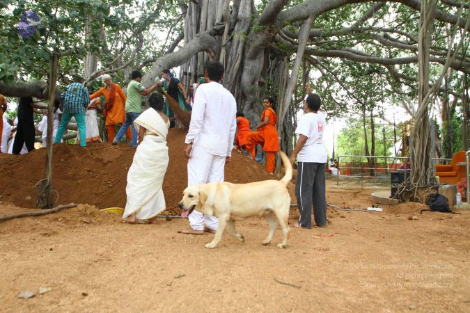 20160918 3944 CMP WM.jpg