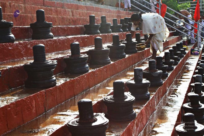 File:20160919 Photo 101 1xZ P5Yu0-P7MGZBpeZ6Gz0h7NC2PgM1i.jpg