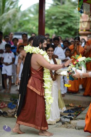 20160926 Photo 1138 1sAw8RMkNujrfApoZjSmmp4gFd1F21TYT.JPG