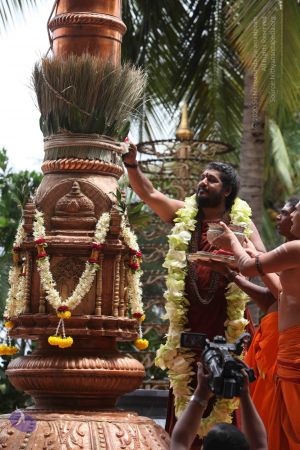 20160926 Photo 1311 1AiyCzTaMUZy3d Qtjb98mgXQa0MLcWC .JPG