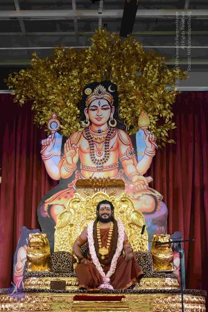 20160927 Photo 1031 1W2nVSIoW8SLQZtt3RWIvzOdmaXd7E4AG.JPG