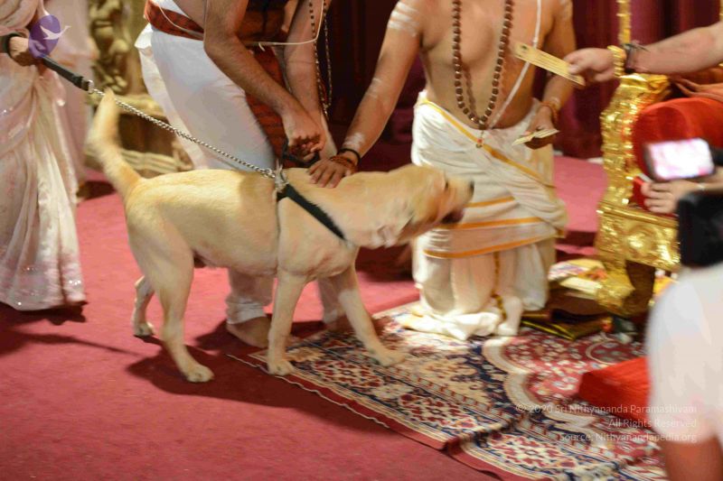 File:20160928 Photo 1072 1lFR28K4aa8ph3GFB-jWpgHqKrxqP-HMm.JPG