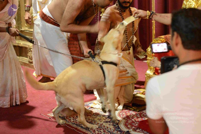 File:20160928 Photo 1073 1QITBx7Ebr8nmVMQldntPHyzHYWEEw4D5.JPG