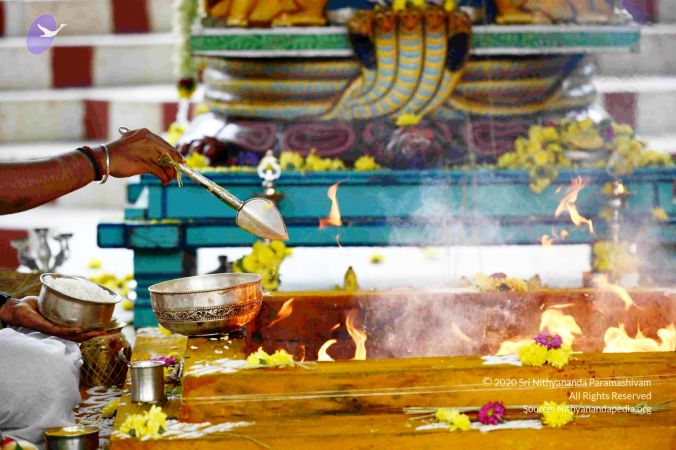 20160929 Photo 1004 1MaDVAksj 2w3-IXZZi98QV1szdUzbD0v.JPG