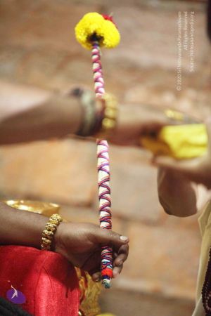 20160929 Photo 1144 1KE9elDj24vIIDRyJSbEXdUCI2IJzXs0v.JPG