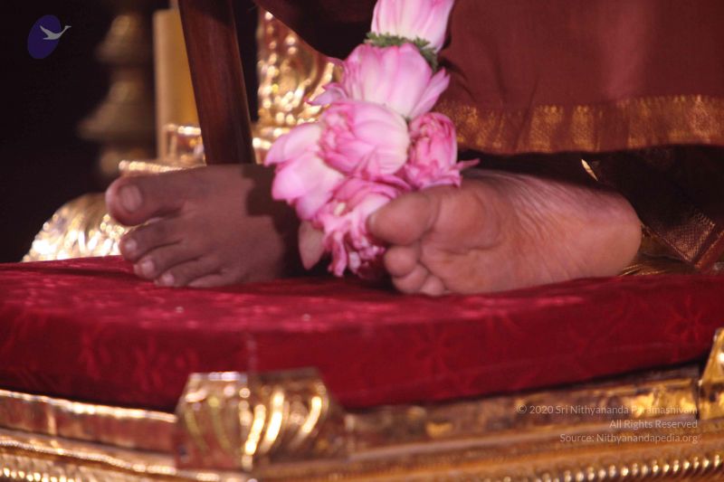 File:20160930 Photo 1062 1mOTFfAz8EITaT8nU6uEVI8iLvU hiHmM.JPG