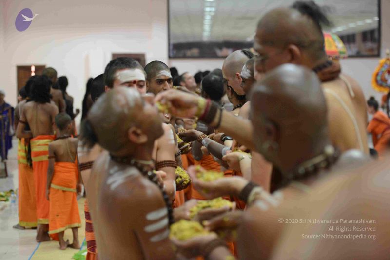 File:20160930 Photo 1070 1F6p9rldF 01IJvJWnoUXa0fimqALbJl9.JPG