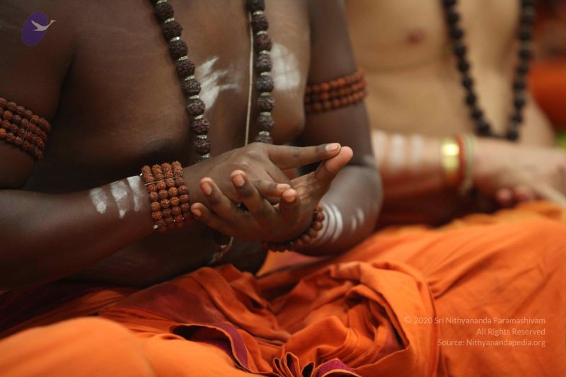 File:20160930 Photo 1285 1xlKkei9YswysisL2MHC7FOpYMByLFICv.JPG