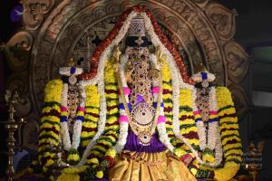 20161002 Photo 1008 1q4j2 zfXyl26xJIgjbWDs5z75jtXG Mt.JPG