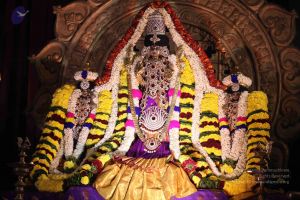 20161002 Photo 1066 1m4ghogf-4KuNiNH-BW-xs1qod0qZ2htG.JPG