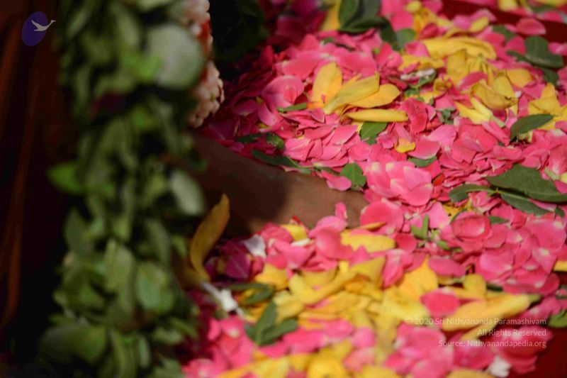 File:20161002 Photo 1121 1Baq0l8hyGw5QziDOY4L3B7faUiuiLYpB.JPG