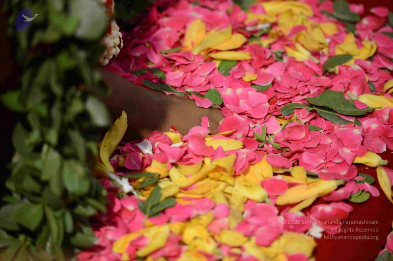 File:20161002 Photo 1122 1u4r9qf-T5ytZT7gcHY0fSrTBxtcC4PbF.JPG