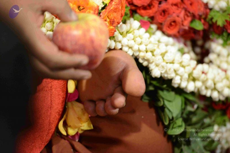 File:20161002 Photo 1123 1OpLSzJfkptghDnJe0QteS jMJmhr-oTH.JPG