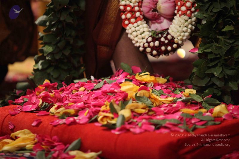 File:20161002 Photo 1140 1c27JdFOCiRM7oXPjnEDL1ny0l-FfhsQP.JPG