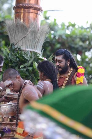 20161003 Photo 1102 1RqpfGpR3WTV26U0TKCgM0VxCNU68u jf.JPG