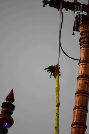 20161003 Photo 1110 1wYXCw2y0v1aaPYALrkxMd9CiCo7S1PBp.JPG