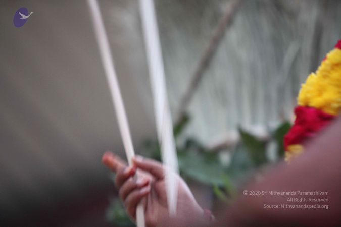 20161003 Photo 1166 1M-pFkcMn48l6CoRWDmsraHVZq1VqpTq1.JPG