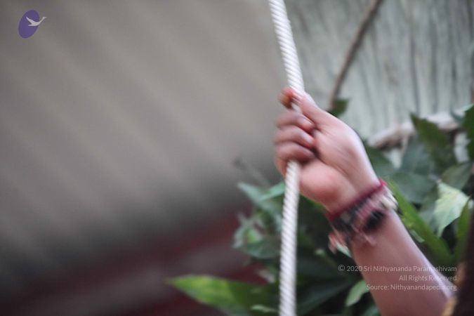 20161003 Photo 1167 1RcjpxrHq7rxWIij4TF2Jgr4XqkzoBgMK.JPG