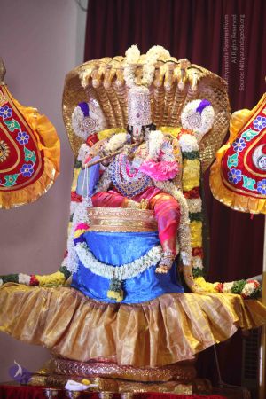 20161004 Photo 1003 1FKqlhbTlHCyoWxbTpxlPNa54GKy1S43L.JPG