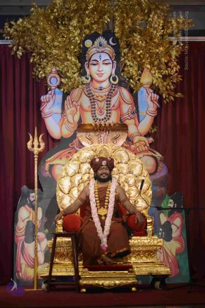 20161004 Photo 1117 10TTL6mGg0MlCYTMXrDCefxS2m0KbxY5n.JPG