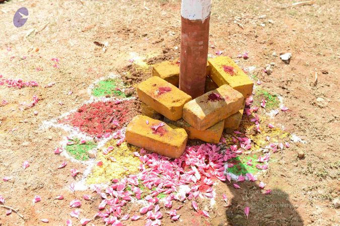 20161006 Photo 1181 13kPd TC yYGN1j4CY 61 DfSh5UiJNmb.JPG