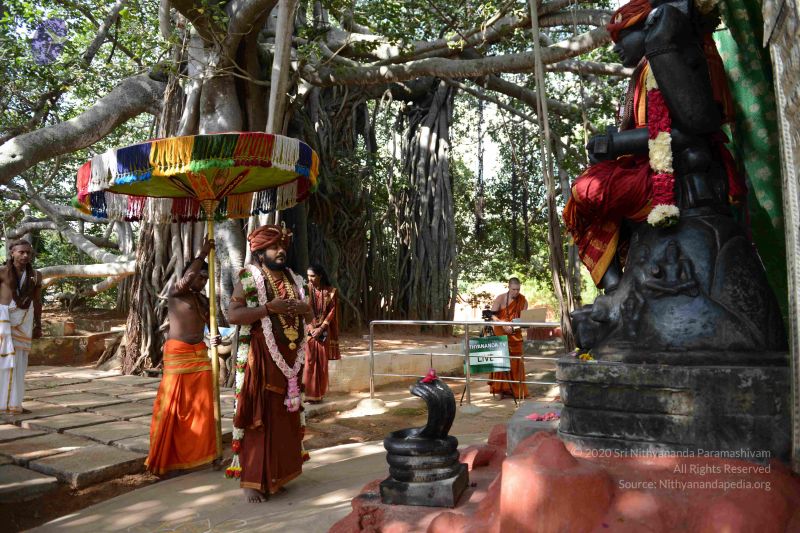 File:20161008 Photo 1035 1MWvuKxjr2TVhcFbapt5QSt38vrUIXxl .JPG