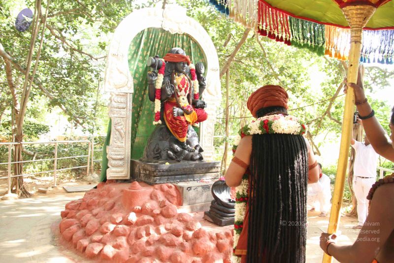 File:20161008 Photo 1184 12K3ng 0w4hdLDCB8tiBvV8jqaKXtmGXB.JPG