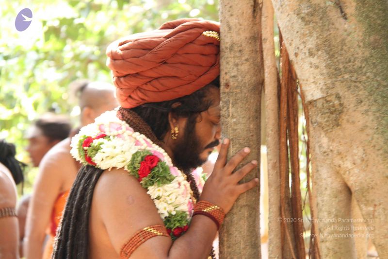 File:20161008 Photo 1189 1zQ4htgl35uC6Mcy7UO14BCvXmMONcF6f.JPG