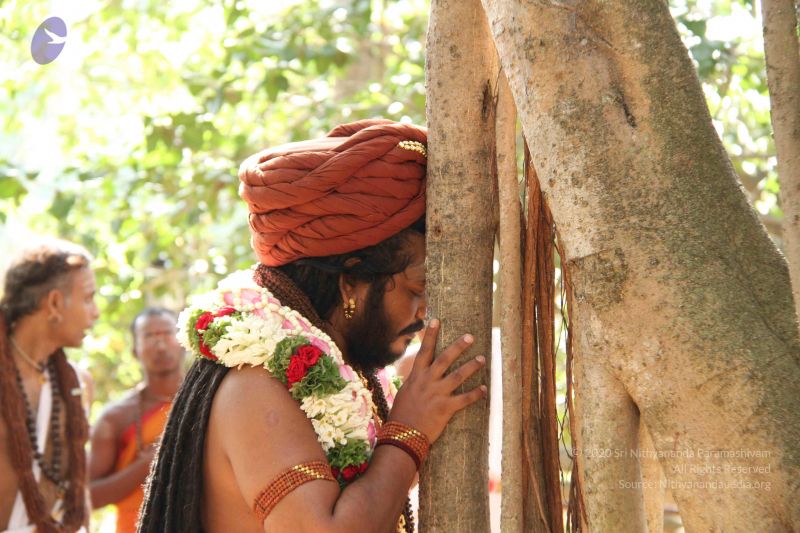 File:20161008 Photo 1190 1ZeXalPm-4jwuxiNidxvxTc3iBgnqMA05.JPG