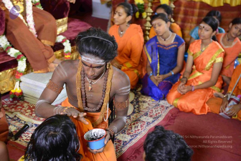 File:20161008 Photo 1610 1wy8BZMThqMoSPamskTu8nqZCMpkCn6uN.JPG