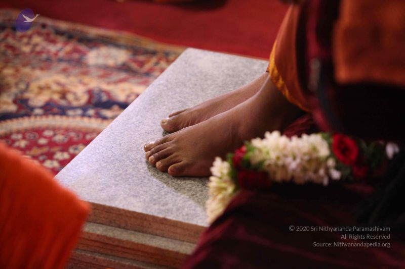 File:20161008 Photo 1664 1-6hsnlpNc2wWCKTpOQwqhJVN3iMLxqPr.JPG