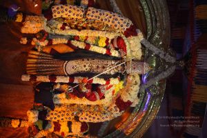 20161010 Photo 1076 1N24Vu5L7kf q2TezgIH4Ja7bDpIeZoMO.JPG