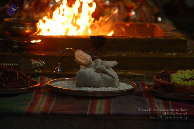 File:20161010 Photo 1268 1fm0Uv0 fkdPkqo8FNuQfDSAaHwo0aHzB.JPG