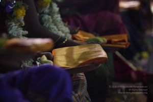 20161010 Photo 1397 11rjZtU3A3jCMO65BygXugVQF4ftBHGQ8.JPG